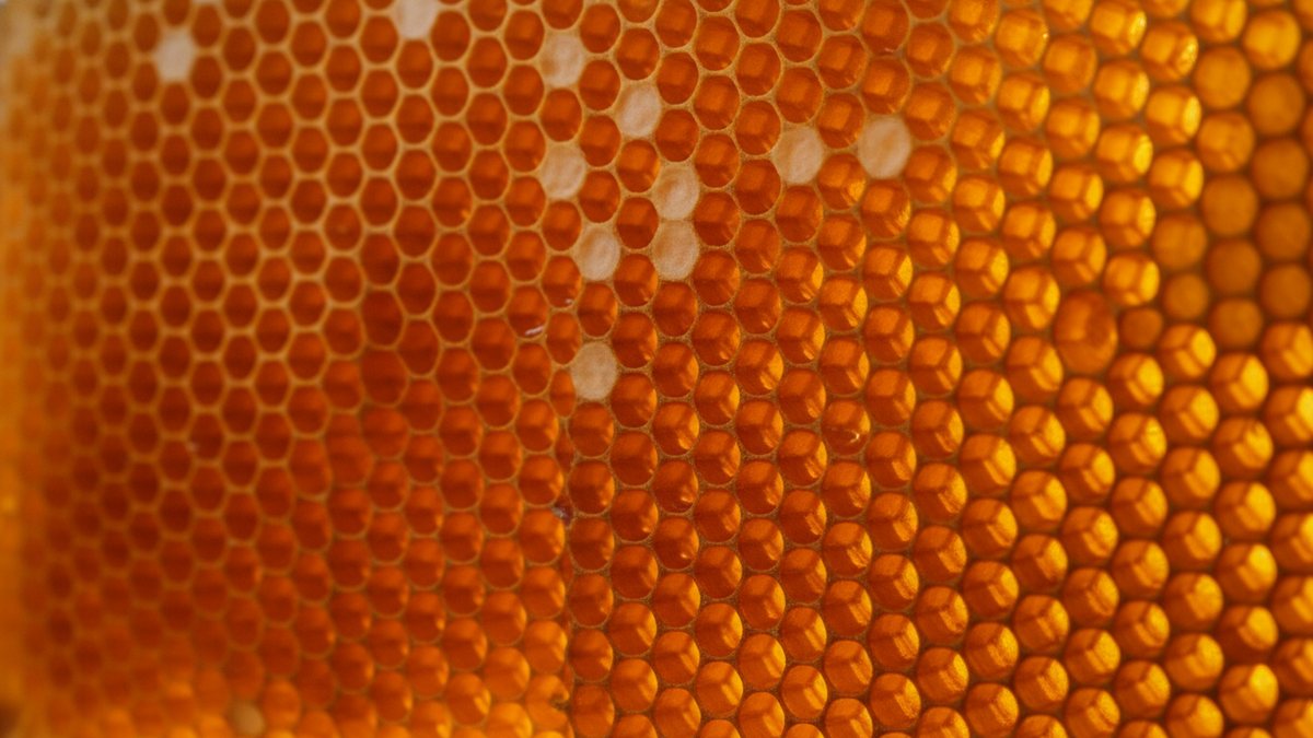金色の蜂蜜で満たされた蜂の巣の六角形のセル